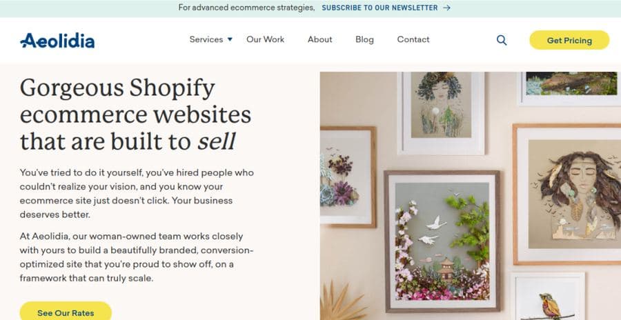 Aeolidia website