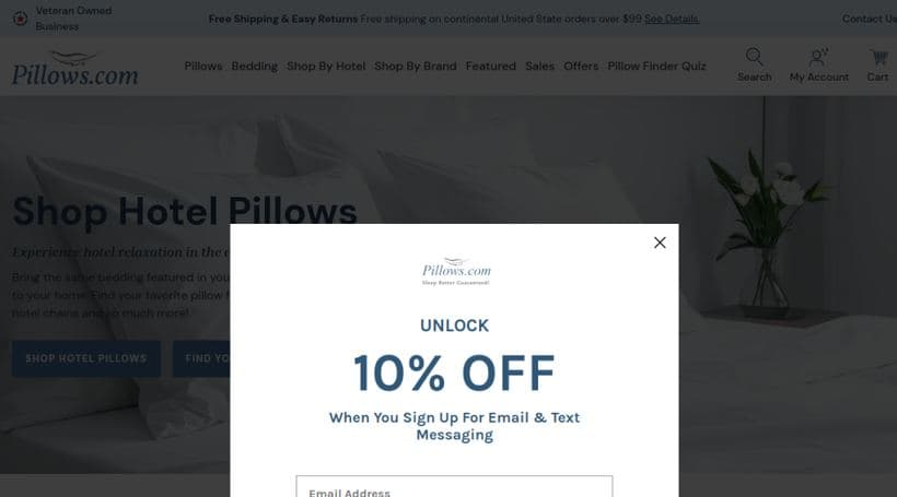 Pillows.com storefront, a client of Praella