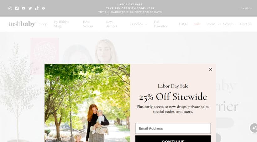 Tushbaby storefront, a client of WebPlanex